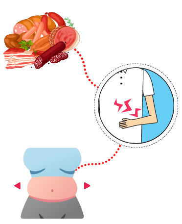 desktop meat digestion